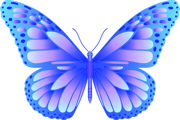 Danaus plexippus butterfly vector image for web design and print