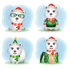 cute polar bear christmas characters collection with a hat, jacket, scarf and gift box