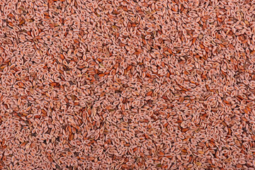 Plantago ovata seeds background. Plantain, indian flea or psyllium seeds. Close up.