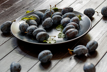 Blue plums in black plate staying against light at wooden brown table