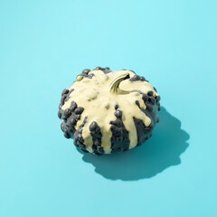 Fall layout made of decorative pumpkin with dripping paint on a blue background. Autumn, Halloween or Thanksgiving concept. Trend shadow, flat lay, top view.