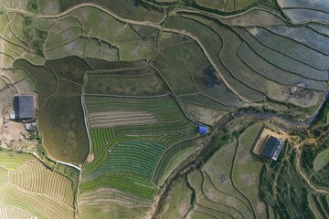 Rice Fields, rice terrace Paddy in Sa Pa Lao Cai Vietnam Asia Aerial Drone Photo