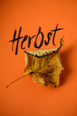 Herbst Blatt auf orangefarbigen Hintergrund
