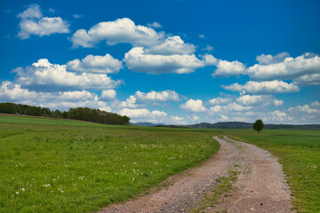 Feldweg durch Wiesenlandschaft im Sommer bewölkter Himmel