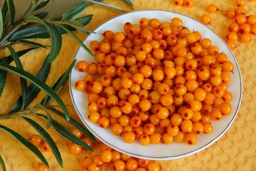 Berries,
Sea buckthorn,
Sea buckthorn juice,
recipe,
Leaves,
Harvest,
Garden,
Fall,
autumn garden,
season,
autumn landscape,
autumn evening
