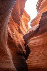 Famous Antelope canyon in daylight, mesmerizing rock curves. Vertical shot