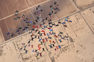Skydiving large group formation