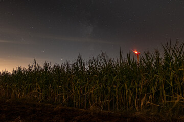 Nightscape with corn and wind turbine © Piotr