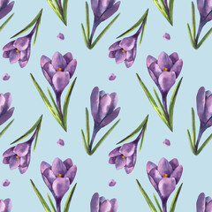 Obraz premium Watercolor violet crocuses seamless pattern on a blue background. Drawn by hand. Isolated. For printing fabrics for clothing, textiles, packaging and wallpapers.