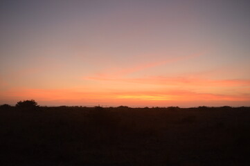 Hiking and camping on the Lost Coast among the Redwood (Sequoia) trees in Northern California, USA