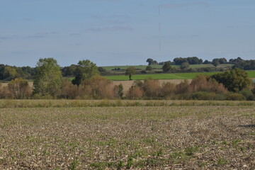 fields in autumn 