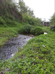 flow of springs in the valley of umbulmartani