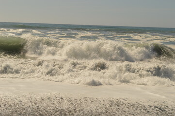 Hiking in the Redwood National Park among the giant old Sequoia trees and ferns in the canyons and forest trails, Northern California, USA
