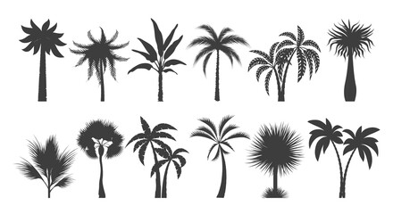 Fototapeta na wymiar Palm tree silhouette drawings