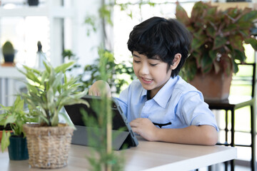 Asian boy learning with laptop in garden