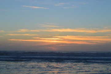 Obraz premium Hiking in the Redwood National Park among the giant old Sequoia trees and ferns in the canyons and forest trails, Northern California, USA