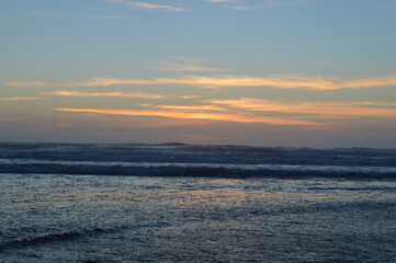 Hiking in the Redwood National Park among the giant old Sequoia trees and ferns in the canyons and forest trails, Northern California, USA