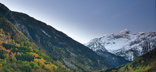 Obraz premium Autumnal contrast between colors and snow.