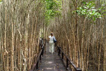 Asian women traveling nature forest and using smartphone. Walking path in the tropical jungle.