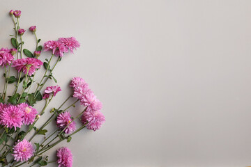Bouquet of purple chrysanthemums on a gray background