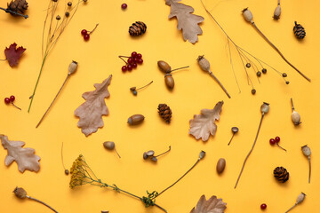 Autumn background with leaves, acorns, dry grass, cones, berries
