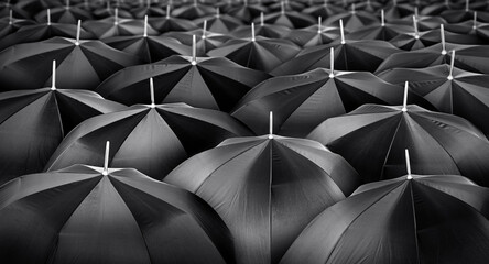 Mass of black umbrellas
