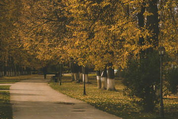 walk in the park