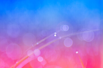 Purple bokeh background caused by the dew on top of the grass in the morning beautiful nature.