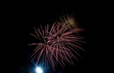 Fototapeta premium fireworks in the sky