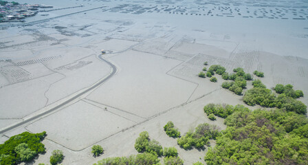 Aerial view of mangrove forest in Chonburi, Thailiand
