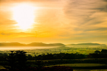 Landscape nature of  forest and mountain as background. hill by trees and plants.