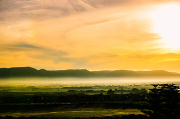 Landscape nature of  forest and mountain as background. hill by trees and plants.