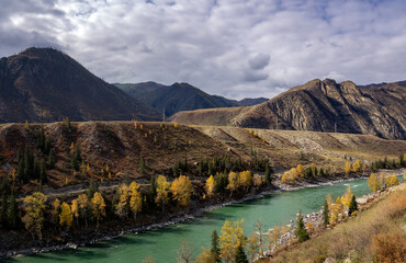 the Katun river in the fall, Russia, Altay
