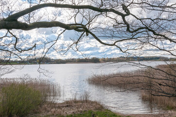 Obraz premium rural landscape in spring