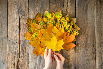 Autumn decoration. Fan of yellow autumn leaves in female hands on a wooden background.