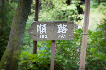 Signpost saying this way in Japanese and English in forest