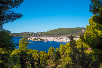 Fototapeta na wymiar Skiathos island , Greece . landscape of town