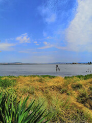 seashore with a stone embankment. The coast of the Black Sea. Embankment alley for walks.