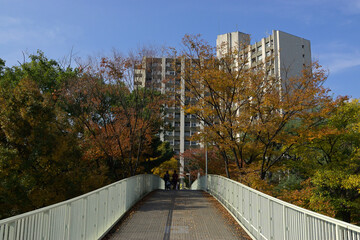 千里ニュータウン竹見台（大阪府吹田市）のUR千里竹見台団地のスターハウス