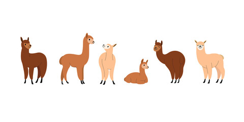 Cartoon alpaca. Сute animals set of icons.