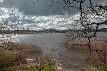 rural landscape in spring
