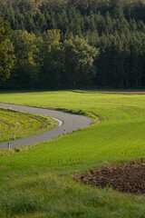 Carretera en medio del campo
