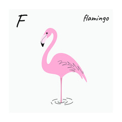 Cute flamingo - cartoon bird character. Vector illustration in flat style isolated on gray background.