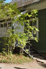 golden autumn in Pushkin places