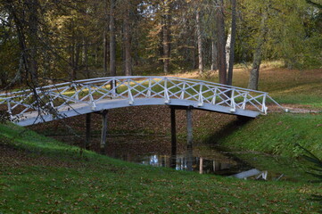 golden autumn in Pushkin places
