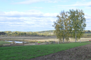 golden autumn in Pushkin places