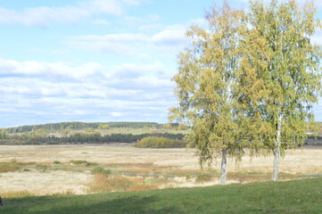 golden autumn in Pushkin places