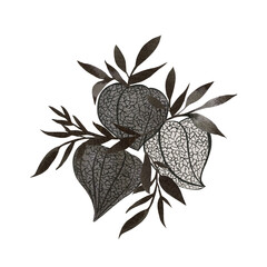 Hand painted black ink physalis border illustration. Watercolor botanical composition isolated on white background. Wedding invitation design.