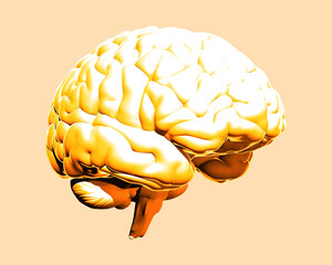 Yellow human brain illustration isolated on vanilla BG