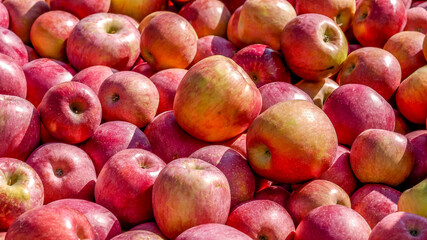 Rote Äpfel